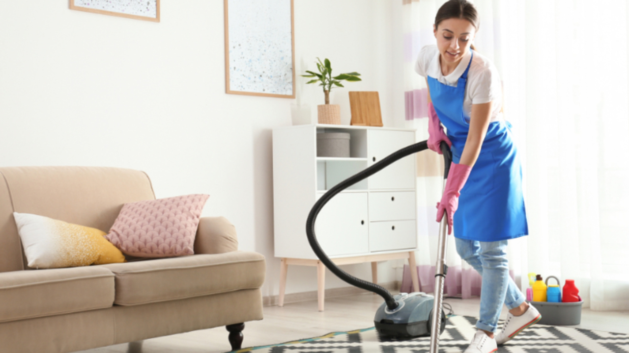 profissionais domésticos