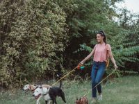 pet sitter