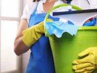 Demissao por justa causa empregada domestica