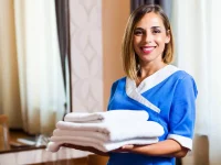 serviços domesticos