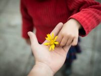 ajudar_pessoas_doar-768x511