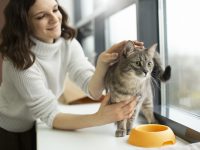 cuidador de pet