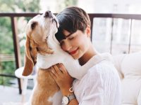pet sitter