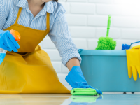 empregadores domesticos