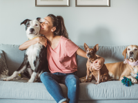 pet sitter