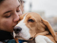 pet sitter