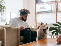 (Foto: Zen Chung/Pexels)